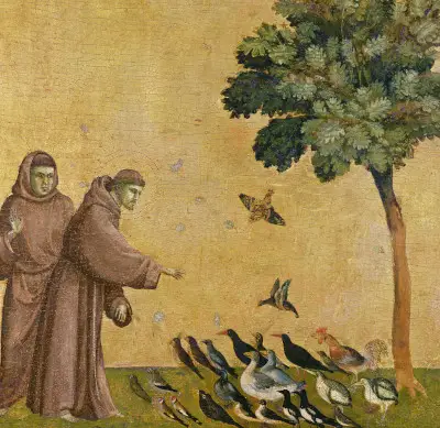Predigt an die Vögel Giotto